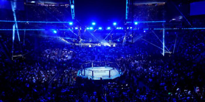 UFCとは？世界一のMMA団体